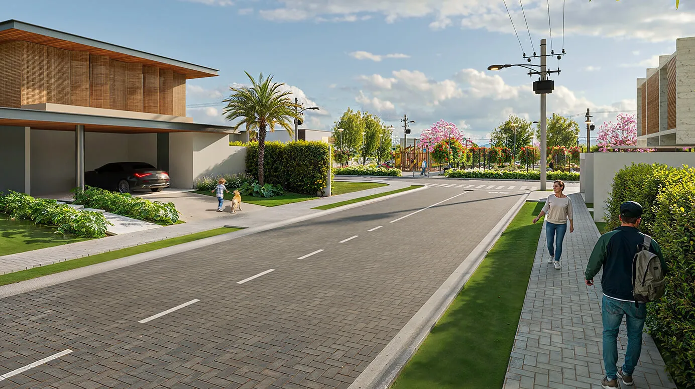 Rua pavimentada com calçada e arborização no Calliandra